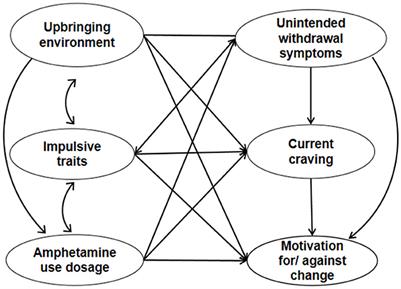 The motivation against change in male methamphetamine users in the compulsory detoxification setting